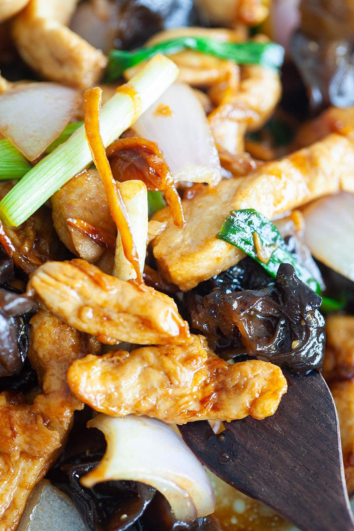 Stir fry chicken with black fungus and ginger, ready to serve.