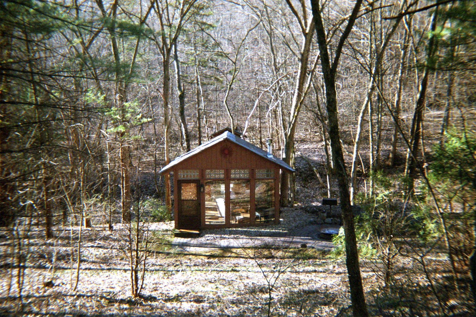 A small, rustic wooden cabin with large windows stands amid a forest of tall, leafless trees. Sunlight filters through the branches, casting light on the cabin and the surrounding forest floor. A cushioned chair is visible inside the cabin through the windows.