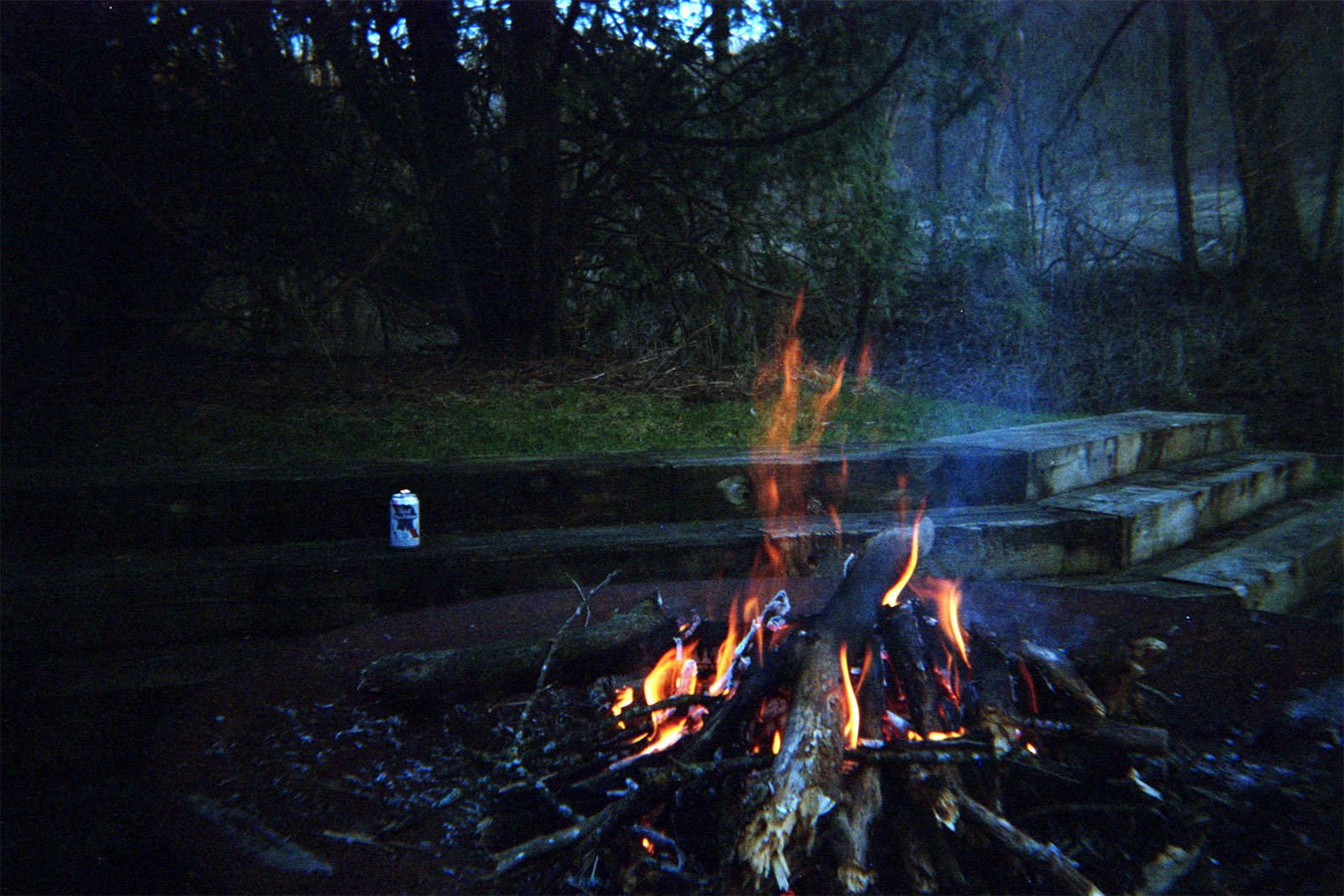 A campfire burns with bright flames and orange embers in a wooded area at dusk. Wooden steps are visible in the background, beside which sits a single white can. The scene is surrounded by dense trees, partially shrouded in darkness.