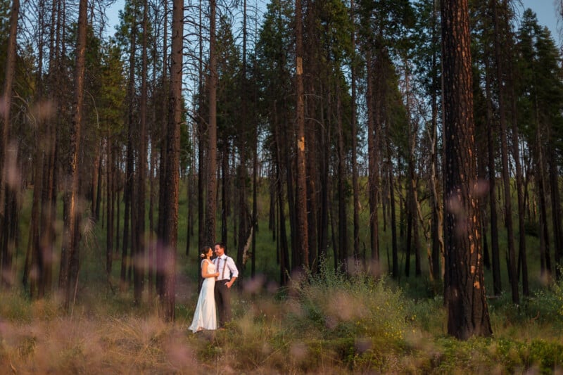 A couple in wedding attire stands in an embrace amid a serene forest, with tall trees surrounding them. The bride wears a white dress, and the groom is in a shirt and suspenders. Soft, out-of-focus wildflowers add a romantic touch to the foreground.